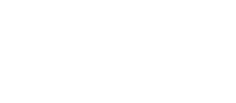 CamelBack logo